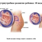 Срок беременности 18 недель