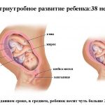 Срок беременности 38 недель