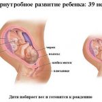 Срок беременности 39 недель